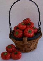 Лот: 4636254. Фото: 7. Баклажан Красный Руфлед. Семена...