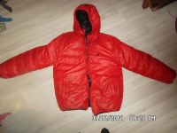 Лот: 4836611. Фото: 2. пуховик мужской adidas. Мужская одежда