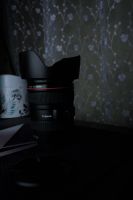 Лот: 19872555. Фото: 3. Объектив Canon EF 24-105mm f/4L... Красноярск