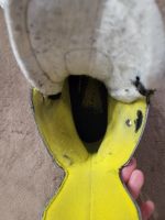 Лот: 21069670. Фото: 2. коньки. Спортивные товары