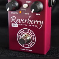 Лот: 10483037. Фото: 11. AMT Electronics RY-1 Reverberry...