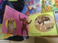 Лот: 13985071. Фото: 6. Книги детские . 12 книг одним...