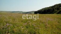 Лот: 25288946. Фото: 2. участок , Красноярск Красноярск... Продажа