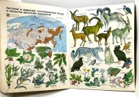 Лот: 25209996. Фото: 14. 📒 Мир и человек. СССР 1988 г...