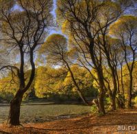 Лот: 10379802. Фото: 3. Canon EF-S 17-85 mm f/4-5.6 IS... Красноярск