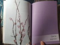 Лот: 25650450. Фото: 4. Мир книги Мастеркласс по бисеру... Красноярск