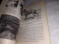 Лот: 18313141. Фото: 12. Джонс, Бренда Китайская хохлатая...