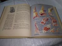 Лот: 18574636. Фото: 14. "Книга о вкусной и здоровой пище...