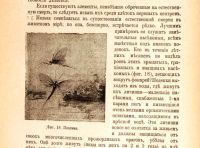 Лот: 18297401. Фото: 11. Мечников И.И. Этюды о природе...