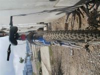 Лот: 922798. Фото: 3. Велосипед Skif Trial. Спортивные товары