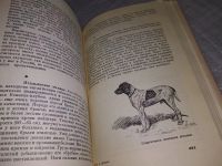 Лот: 19140024. Фото: 7. Сабанеев Л. Календарь природы...