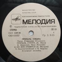 Лот: 17299882. Фото: 3. 7" Пропала собака. Красноярск