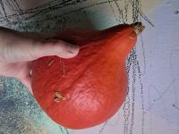 Лот: 24399666. Фото: 2. Тыквочка-тыква. Продукты