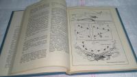 Лот: 10301907. Фото: 7. ок (01..01)(00-045) Книга рыболова-любителя...