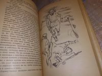 Лот: 17795350. Фото: 5. Жичка Федор, Где растут бессмертники...
