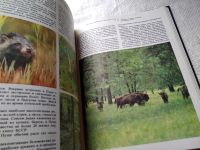 Лот: 9921015. Фото: 16. ок (32..01) Заповедники СССР...