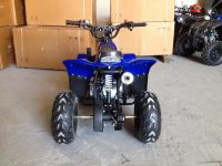 Лот: 25659173. Фото: 5. Квадроцикл RAPTOR 110