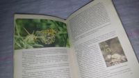 Лот: 9132766. Фото: 3. Юрий Аракчеев В поисках Аполлона... Литература, книги