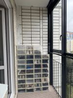 Лот: 25742255. Фото: 16. 3-комн. квартира , Красноярск...