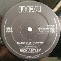 Лот: 21442482. Фото: 4. LP ● Rick Astley ● Together Forever...