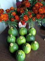 Лот: 23600552. Фото: 2. Кабачки. Продукты
