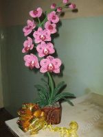 Лот: 1061545. Фото: 2. орхидея "моя лапуська". Сувениры