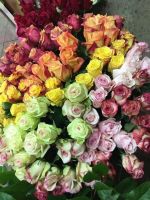 Лот: 11670675. Фото: 2. Розы / Эквадор/ 50см. Цветы, букеты