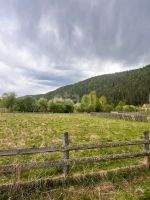 Лот: 25297895. Фото: 11. участок , СПК Солонцы СПК Солонцы...