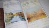 Лот: 9744558. Фото: 4. Сибирские художники 2000-летию... Красноярск