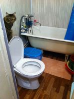 Лот: 6113323. Фото: 5. сдам квартиру на крас рабе