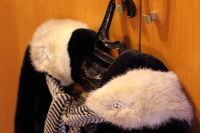 Лот: 4450449. Фото: 2. Шуба мутон + шарф. Женская одежда