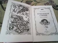 Лот: 20540714. Фото: 6. Бушующая стихия. Серия: Коты-воители...