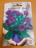 Лот: 20231733. Фото: 2. Эустома. Комнатные растения и уход