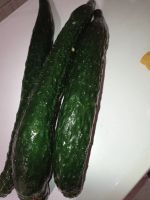 Лот: 14374592. Фото: 2. Огурцы салатные свежие из деревни... Продукты