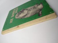 Лот: 15423131. Фото: 7. Аргунова Нора. Не бойся - это...