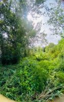 Лот: 25881096. Фото: 8. участок , садоводческое некоммерческое...