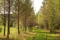 Лот: 25849737. Фото: 6. База отдыха с Акваторией