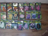 Лот: 1162801. Фото: 2. Тюльпан махровый "Анжелика" 7... Семена, рассада, садовые растения