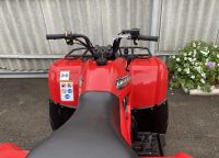 Лот: 25650275. Фото: 5. Квадроцикл GRIZZLY 300cc (2022...