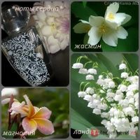 Лот: 6936344. Фото: 2. Парфюмерная вода AMOUR. Парфюмерия