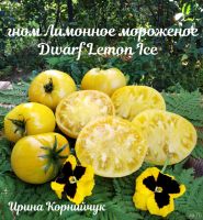 Лот: 18569442. Фото: 6. Семена томатов из проекта Томатный...