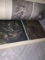 Лот: 18441889. Фото: 6. Стишковская, Л.Л. Вечные странники...