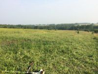 Лот: 11780992. Фото: 4. Участок 4 га возле совхоза Сибиряк. Красноярск