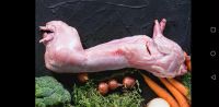 Лот: 14070785. Фото: 2. Мясо кролика, крольчатина. Продукты