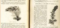 Лот: 18627295. Фото: 17. Н.Ф. Золотницкий . Аквариум любителя...