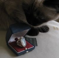 Лот: 11364873. Фото: 2. Кольцо с натуральным лунным камнем... Ювелирные изделия, бижутерия, часы