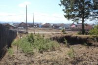 Лот: 13642930. Фото: 4. Продам участок ДНТ Есаульский... Красноярск
