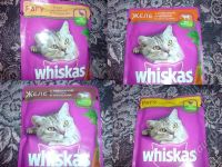Лот: 252864. Фото: 2. whiskas (вискас). Животные и уход