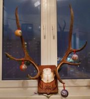 Лот: 9748861. Фото: 2. Рога. Охота