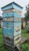Лот: 6227852. Фото: 3. Тот самый мёд! Банка. Красноярск